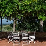 Vittoria Tuscany New Opening 2025 *