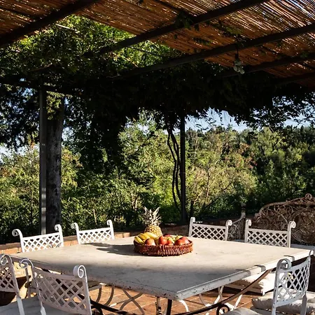 Vittoria Tuscany New Opening 2025