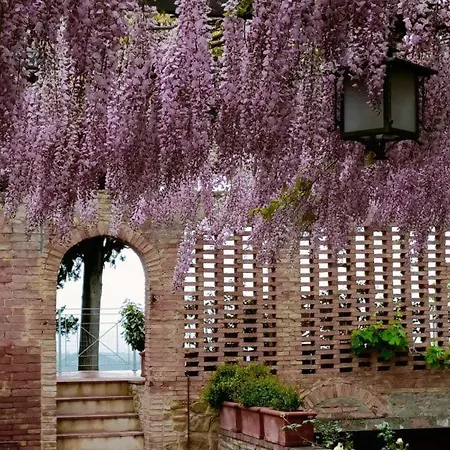 Vittoria Tuscany New Opening 2025 Villa *